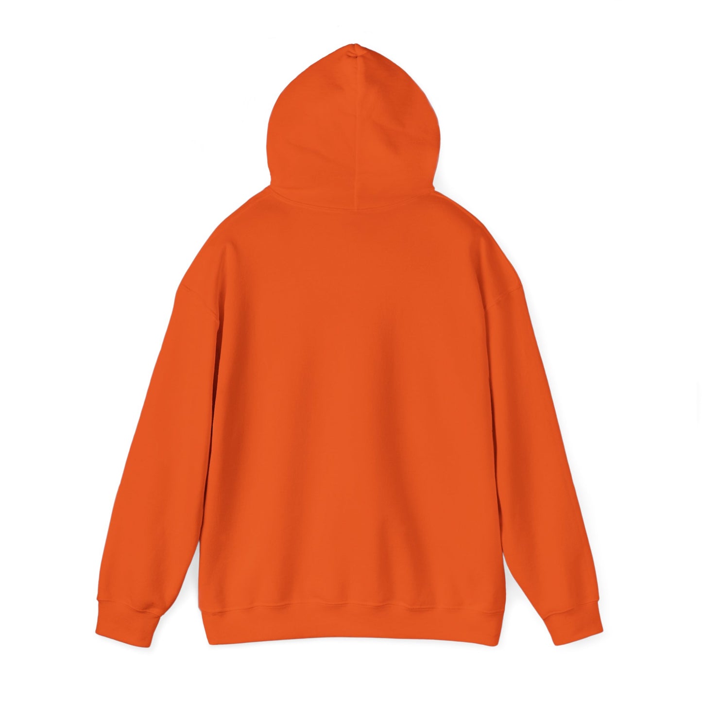 Salutations Fine Shyts Hoodie (Variant Colors)