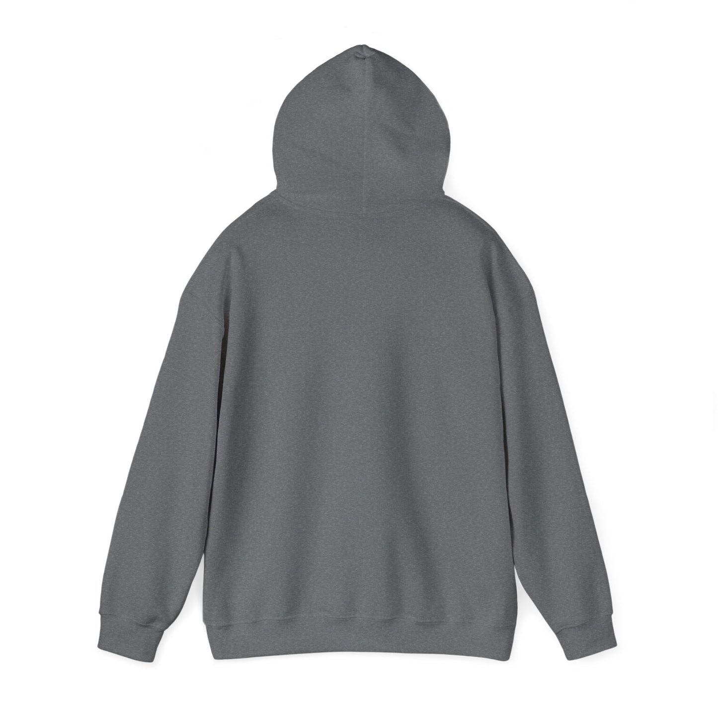 English or Spanish? Hoodie (Variant Colors)