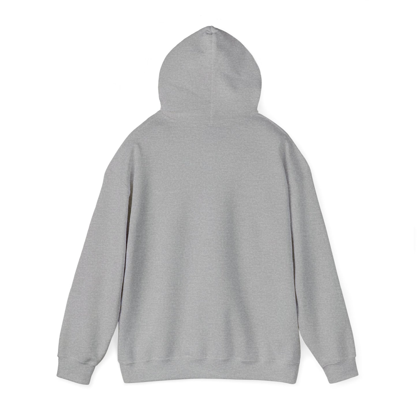 English or Spanish? Hoodie (Variant Colors)